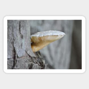 Mushroom on tree Sticker